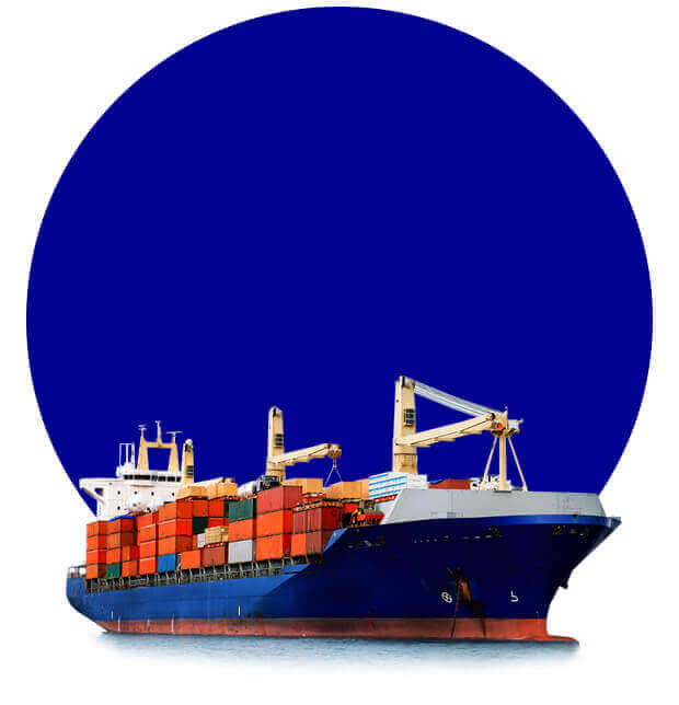 Imagen de Loginco Experto